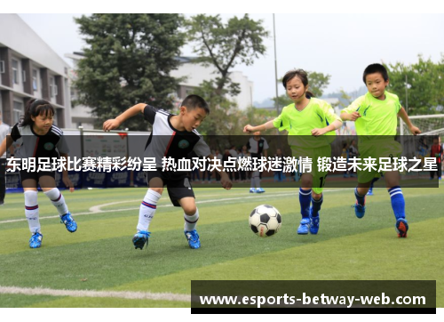 东明足球比赛精彩纷呈 热血对决点燃球迷激情 锻造未来足球之星