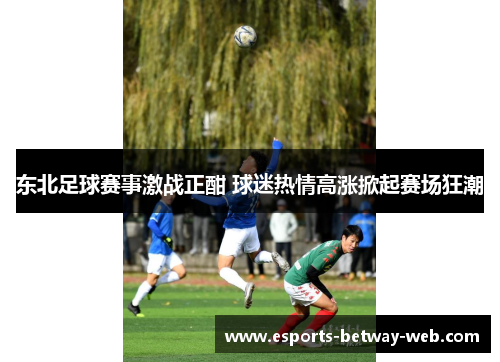 东北足球赛事激战正酣 球迷热情高涨掀起赛场狂潮