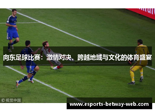 向东足球比赛：激情对决，跨越地域与文化的体育盛宴
